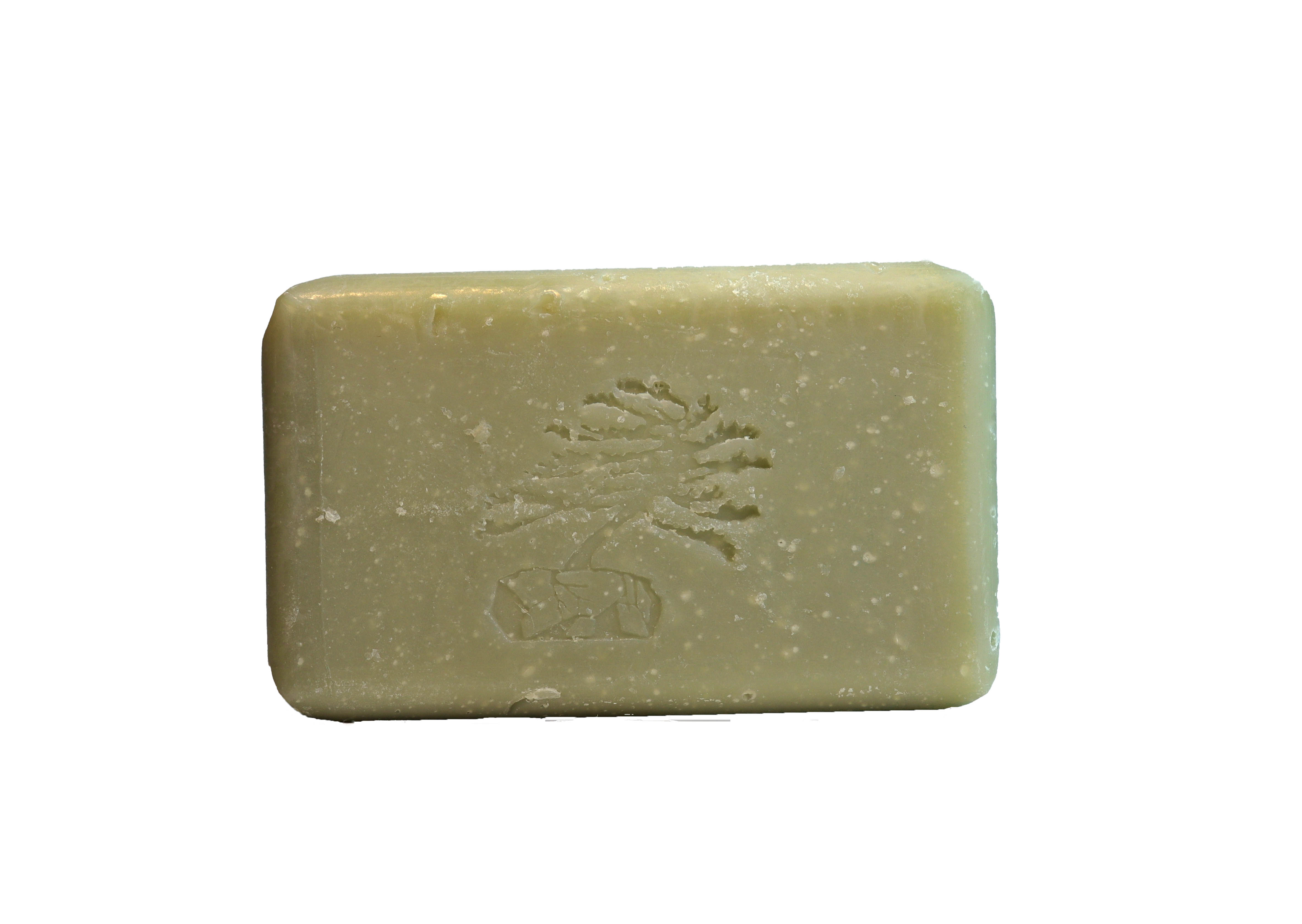 Rosemary Mint Shampoo Bar